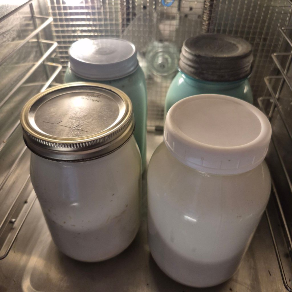 Homemade Yogurt from&nbsp;Scratch